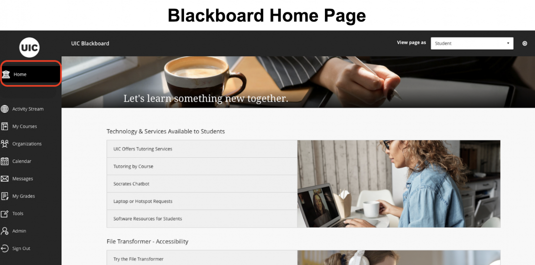 Create EasytoNavigate, Appealing Courses in Blackboard with the