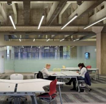 UIC students studying in the Richard Daley Library
                  